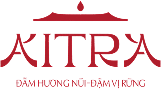 logo dark