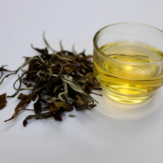 Bạch Trà Bạch Mẫu Đơn