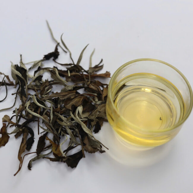 Bạch Trà Bạch Mẫu Đơn