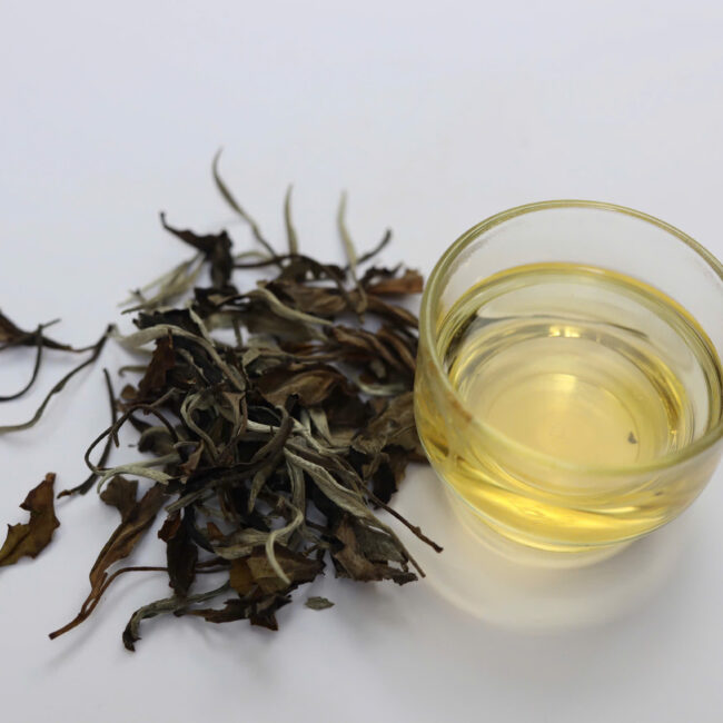 Bạch Trà Bạch Mẫu Đơn