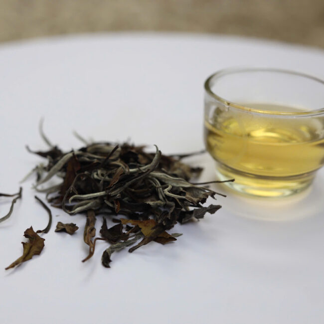 Bạch Trà Bạch Mẫu Đơn