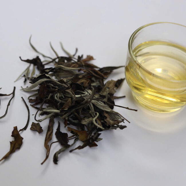 Bạch Trà Bạch Mẫu Đơn