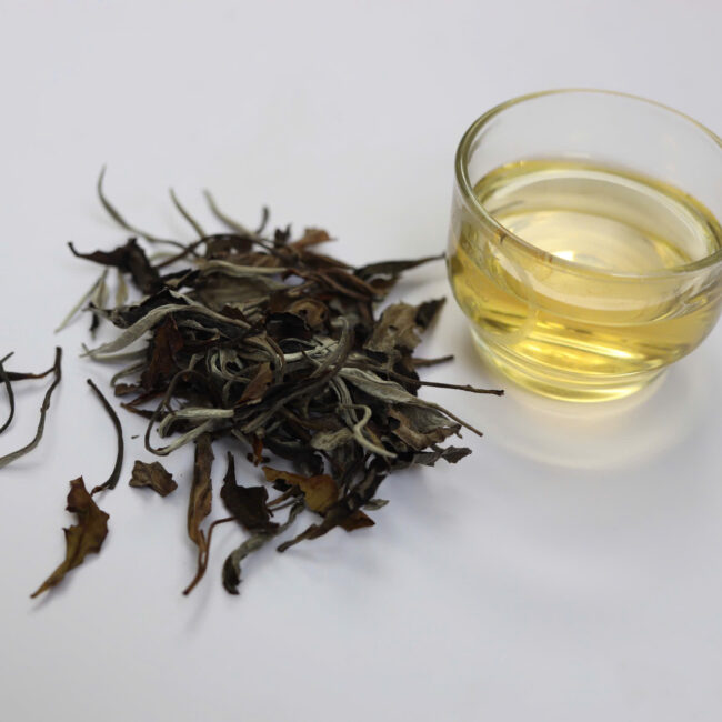 Bạch Trà Bạch Mẫu Đơn